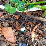 Blumat-Manguera-de-Alimentacion-para-Riego-8mm-5-metros-2.jpg