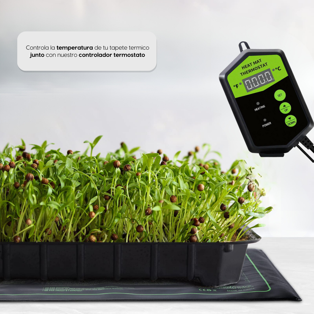 TECH Tapete Termico para Plantulas o Esquejes - 25x52 cm (1 domo) - Propagación o clonación de cannabis
