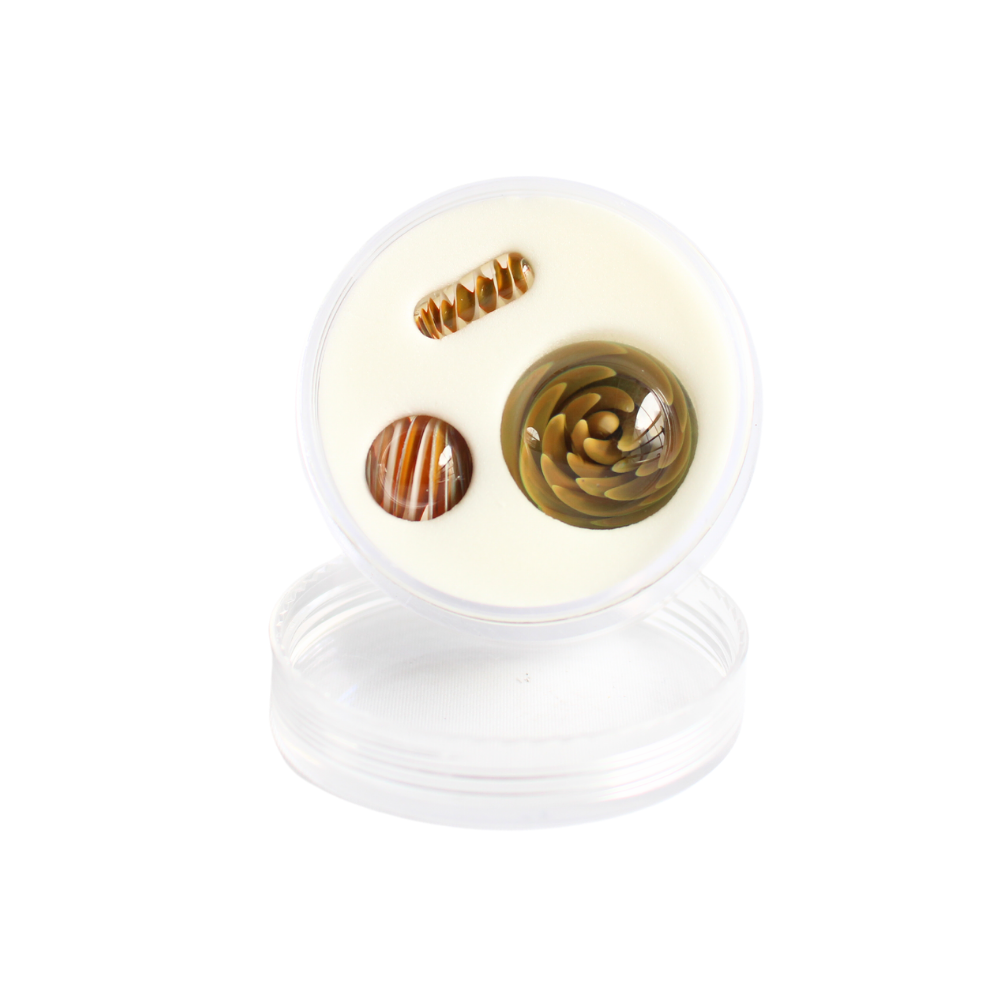 AFM Set Perlas Coral Desert